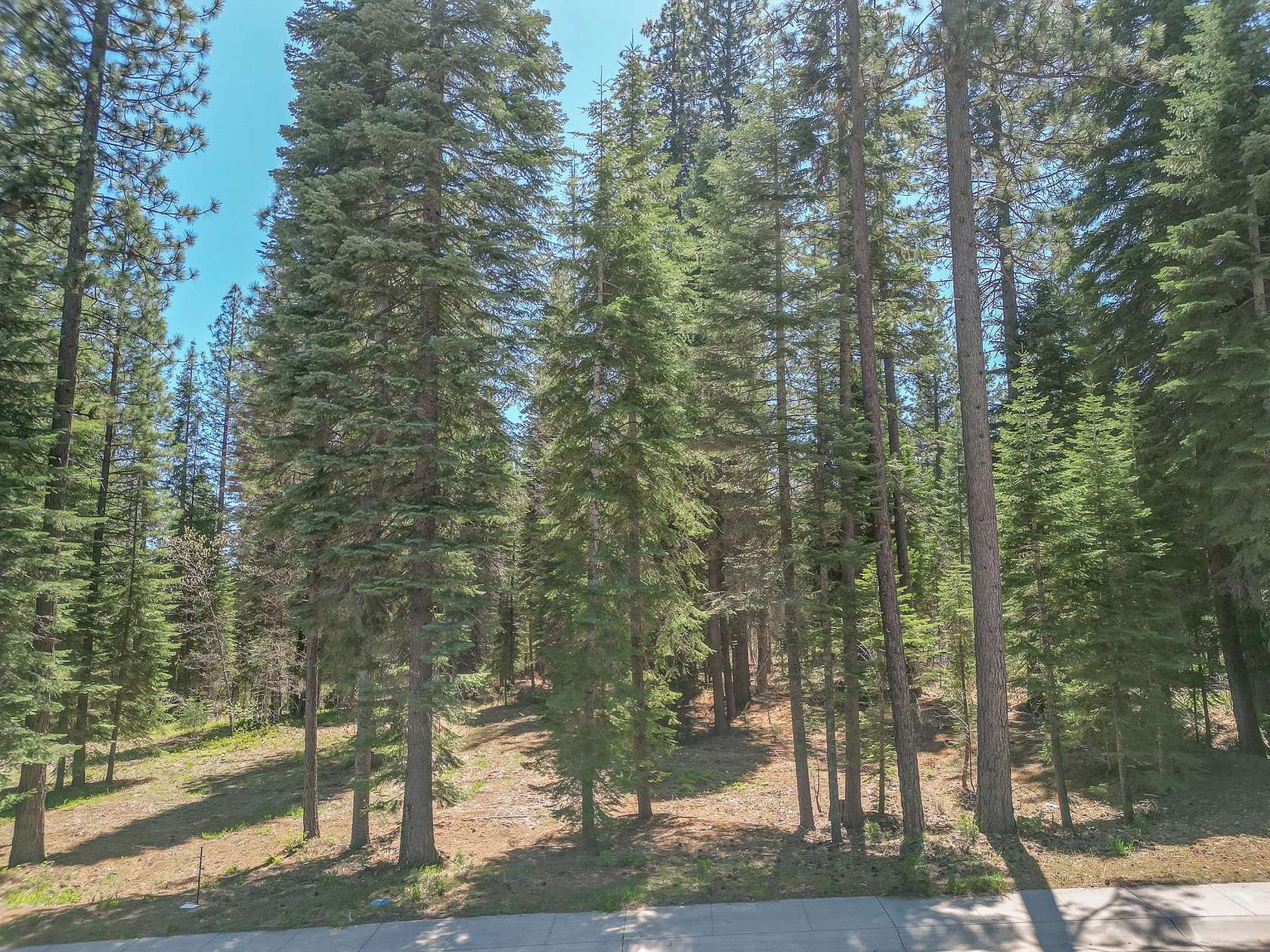 0.24 Acres of Residential Land for Sale in McCloud, California