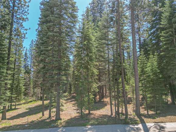 0.24 Acres of Residential Land for Sale in McCloud, California