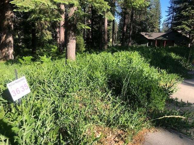 0.2 Acres of Residential Land for Sale in McCloud, California