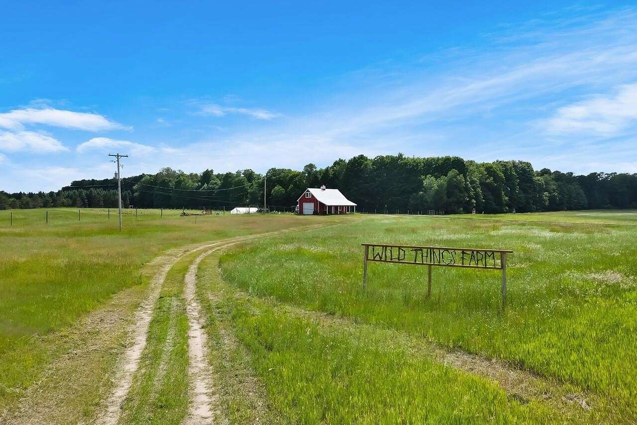 38.3 Acres of Agricultural Land for Sale in Honor, Michigan