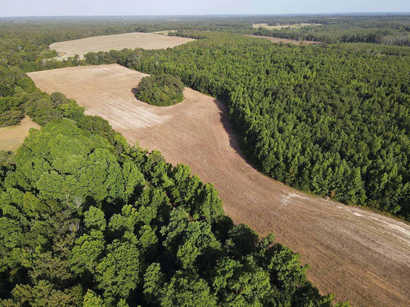 63.4 Acres of Agricultural Land for Sale in Sylvania, Georgia