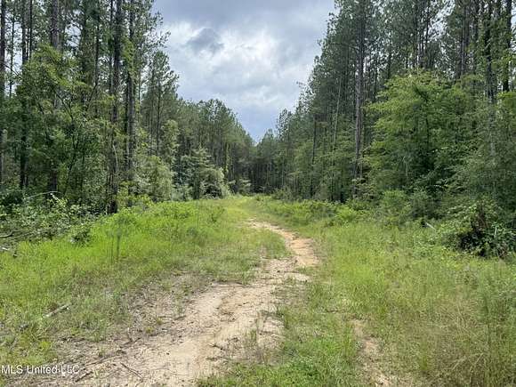80 Acres of Recreational Land for Sale in Brooklyn, Mississippi