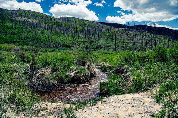 10 Acres of Recreational Land for Sale in Granby, Colorado
