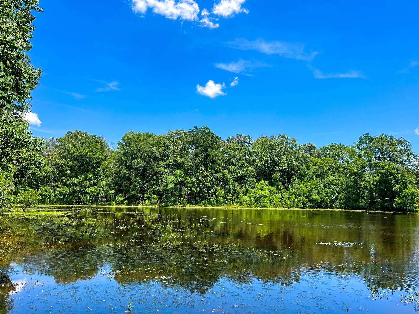 148 Acres of Recreational Land for Sale in Jackson, Mississippi