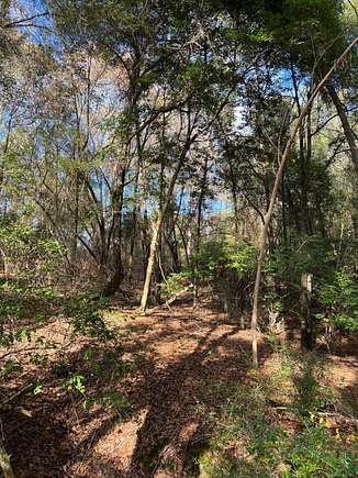 20 Acres of Recreational Land for Sale in Independence, Alabama
