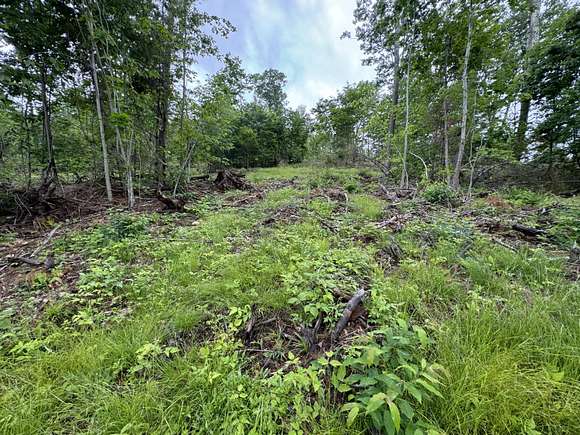 5.5 Acres of Residential Land for Sale in Limington, Maine