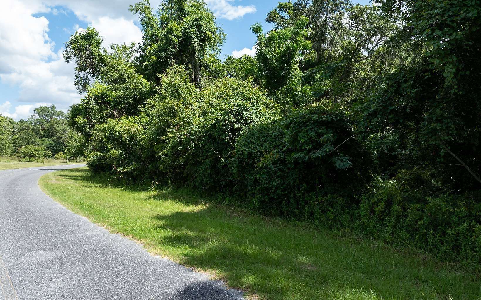 5.73 Acres of Residential Land for Sale in Lake City, Florida