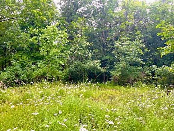 1.75 Acres of Residential Land for Sale in St. Croix Falls, Wisconsin