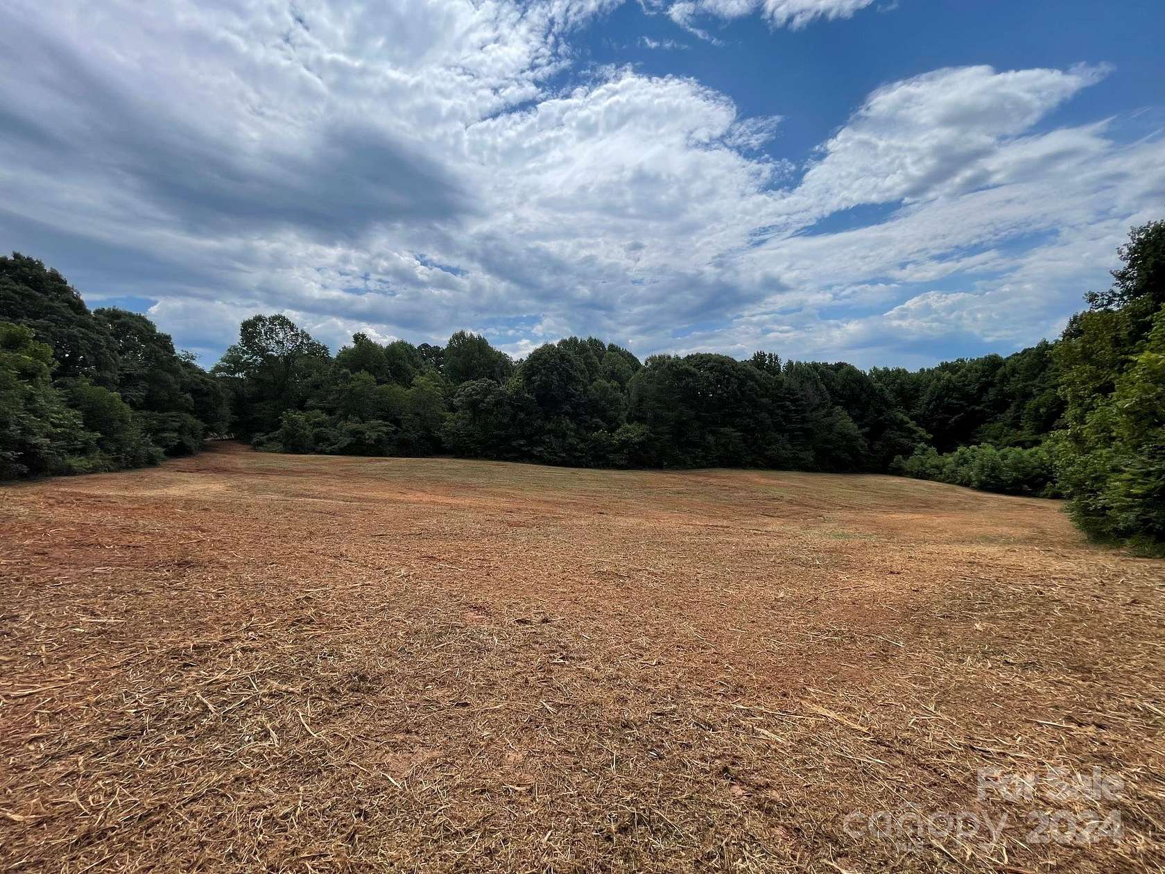 23.75 Acres of Agricultural Land for Sale in Lincolnton, North Carolina