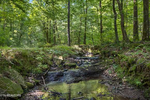 13.6 Acres of Recreational Land for Sale in Harriman, Tennessee