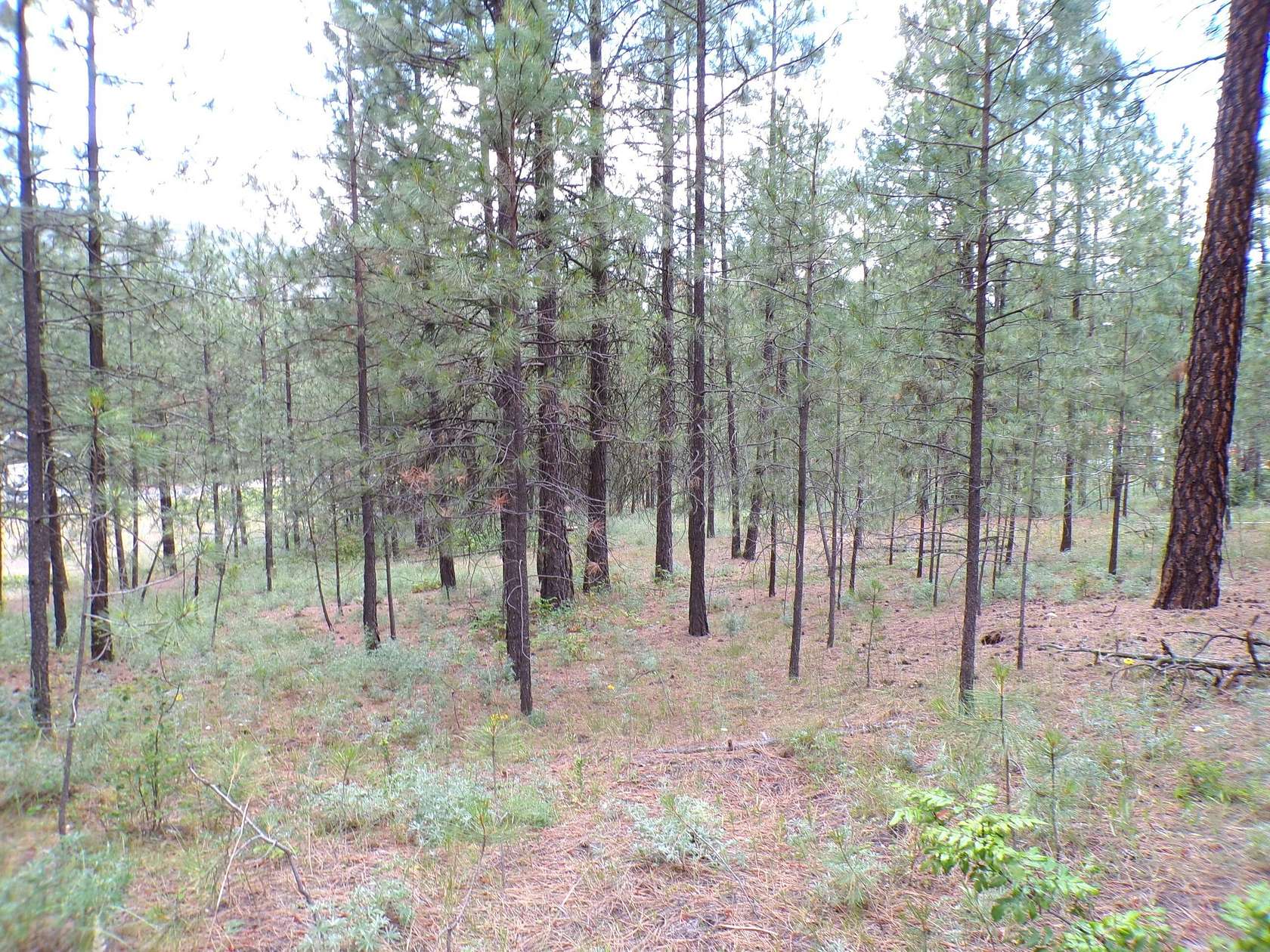 1.2 Acres of Residential Land for Sale in Kettle Falls, Washington