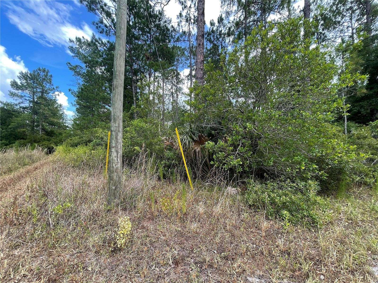 0.5 Acres of Residential Land for Sale in Orange Springs, Florida