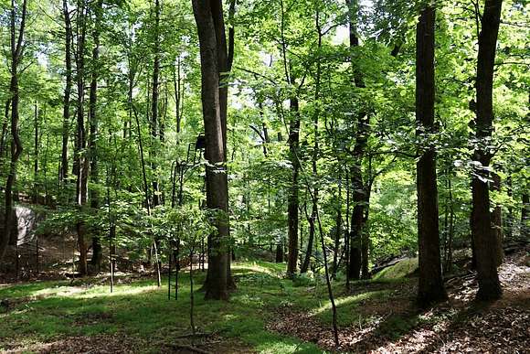 4.8 Acres of Land for Sale in Roanoke, Virginia