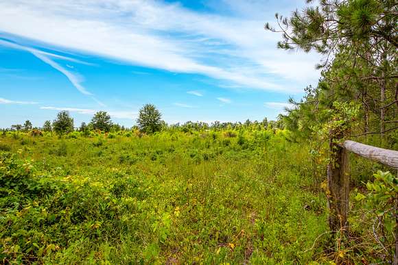 13 Acres of Land for Sale in Mayo, Florida