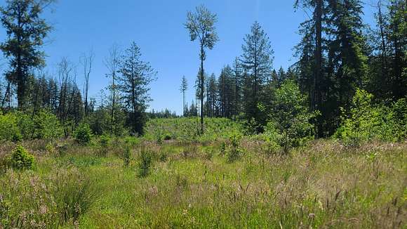 5 Acres of Land for Sale in Chehalis, Washington