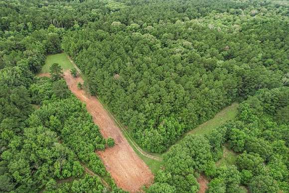 215 Acres of Land for Sale in Greenwell Springs, Louisiana