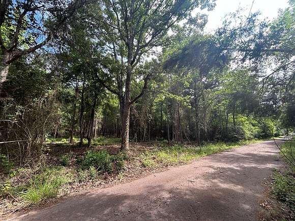 16.18 Acres of Land for Sale in Linden, Texas