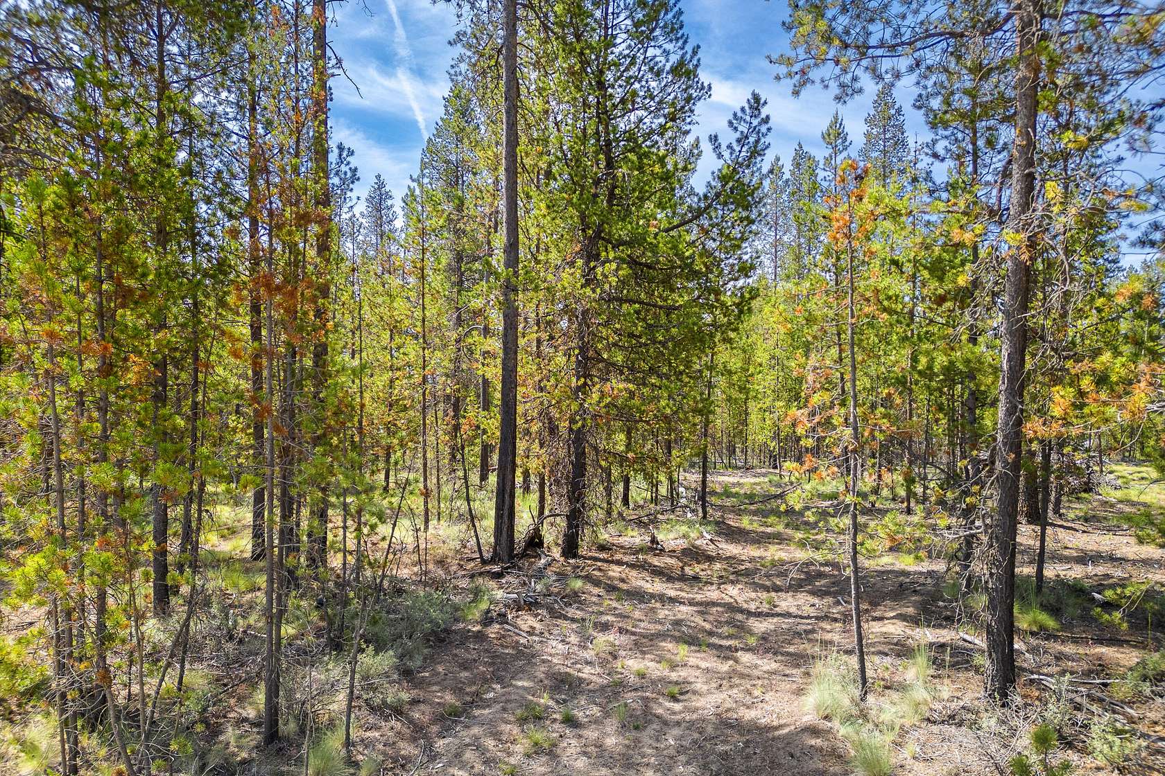 1.25 Acres of Residential Land for Sale in La Pine, Oregon