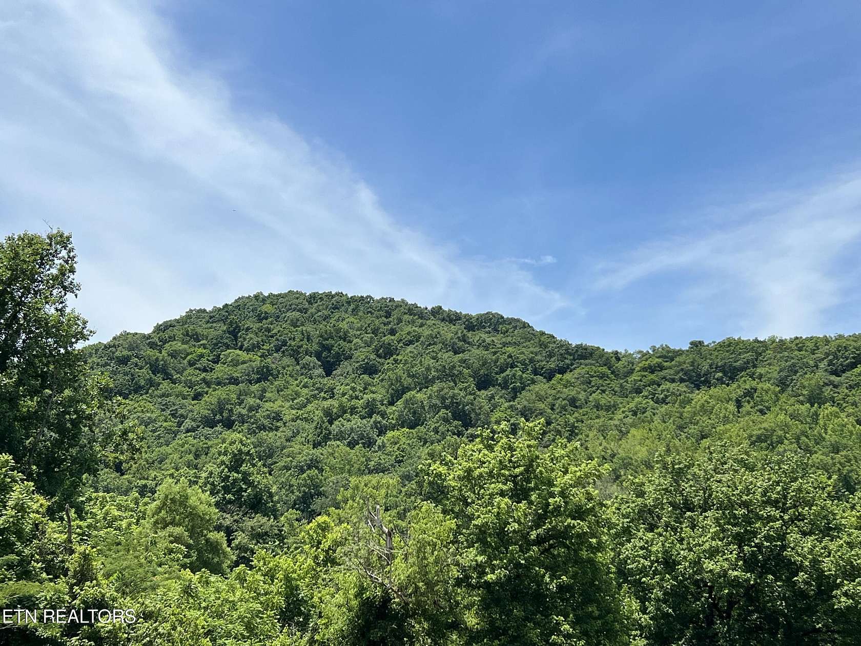 21 Acres of Recreational Land for Sale in Huntsville, Tennessee