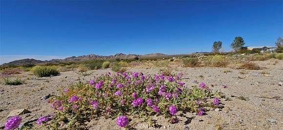 4.848 Acres of Land for Sale in Lucerne Valley, California