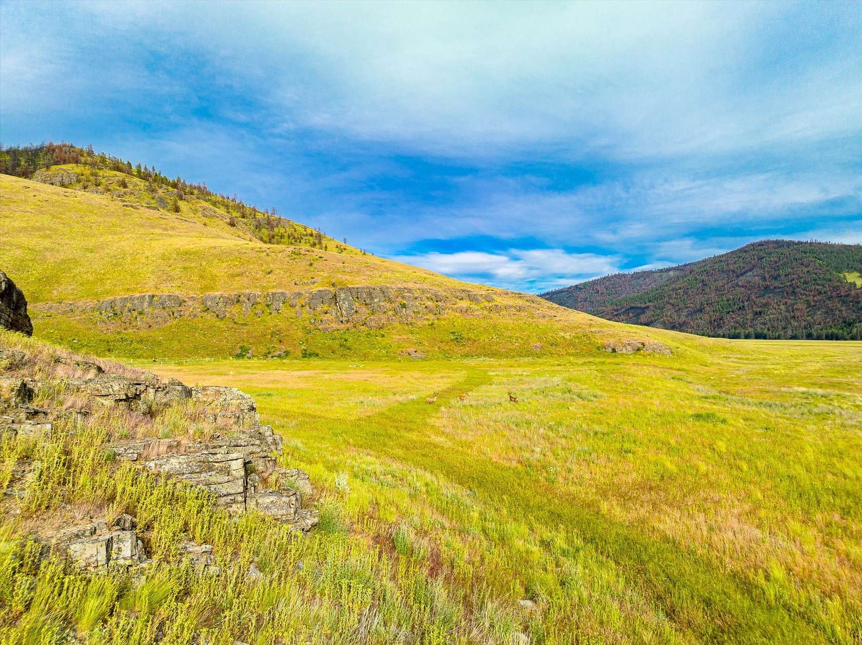 40 Acres of Recreational Land & Farm for Sale in Niarada, Montana