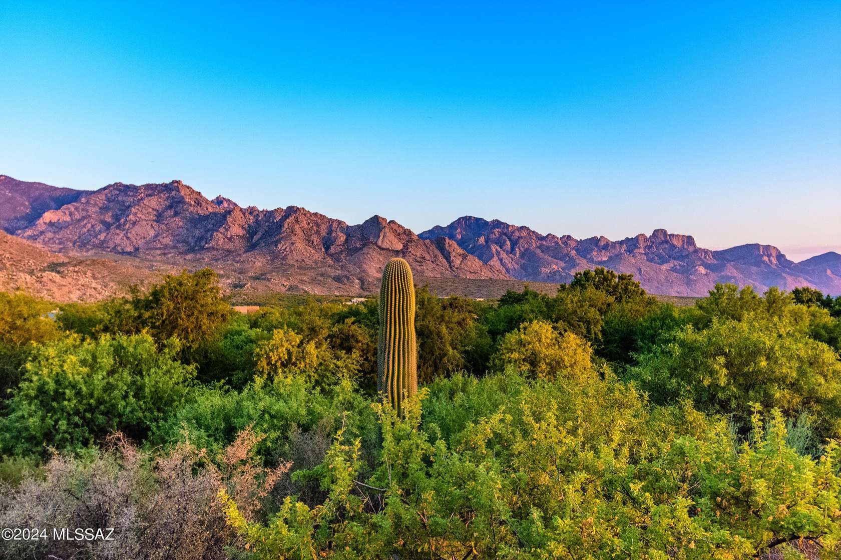 11.84 Acres of Land for Sale in Tucson, Arizona