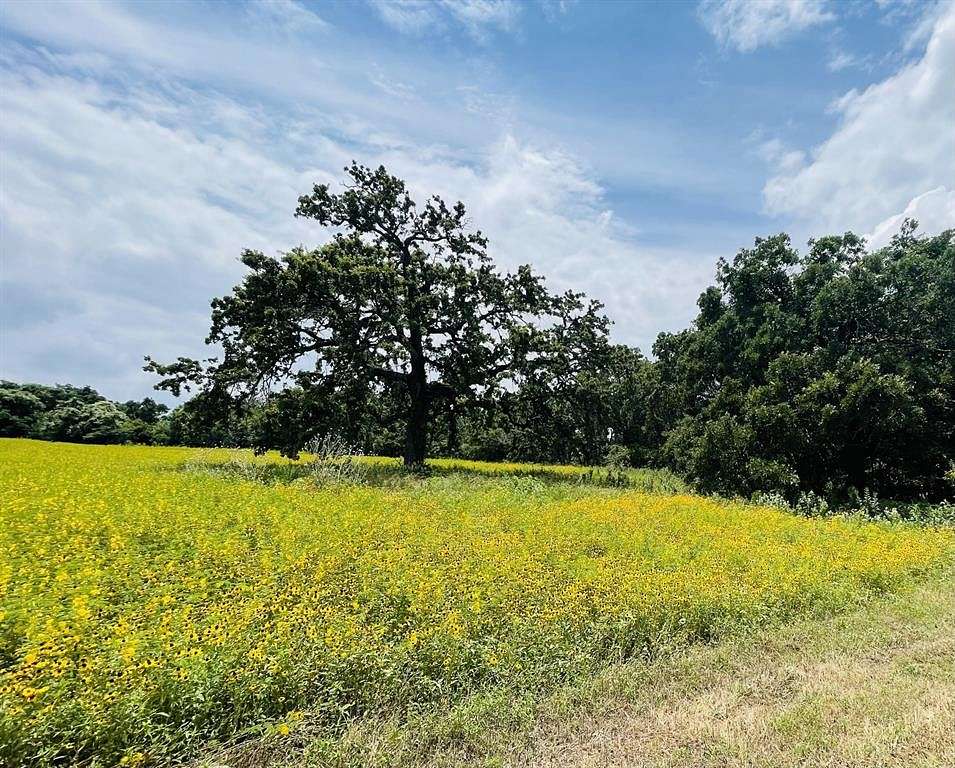 2.563 Acres of Residential Land for Sale in Springtown, Texas