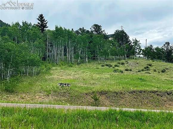 0.5 Acres of Residential Land for Sale in Lake George, Colorado