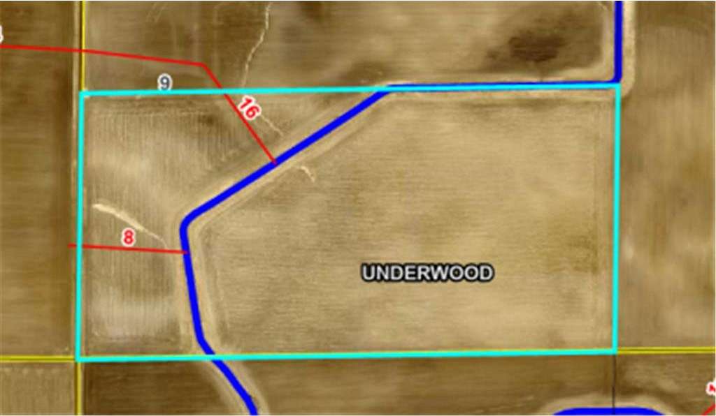 80 Acres of Agricultural Land for Auction in Underwood Township, Minnesota