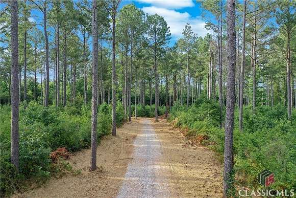 35.52 Acres of Recreational Land for Sale in Winterville, Georgia