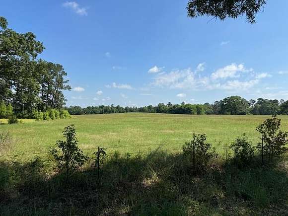 20 Acres of Land for Sale in Daingerfield, Texas