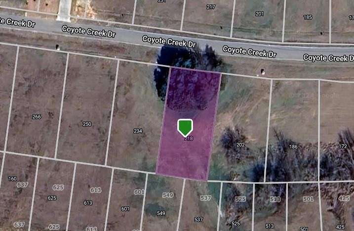0.349 Acres of Residential Land for Sale in Gordonville, Texas