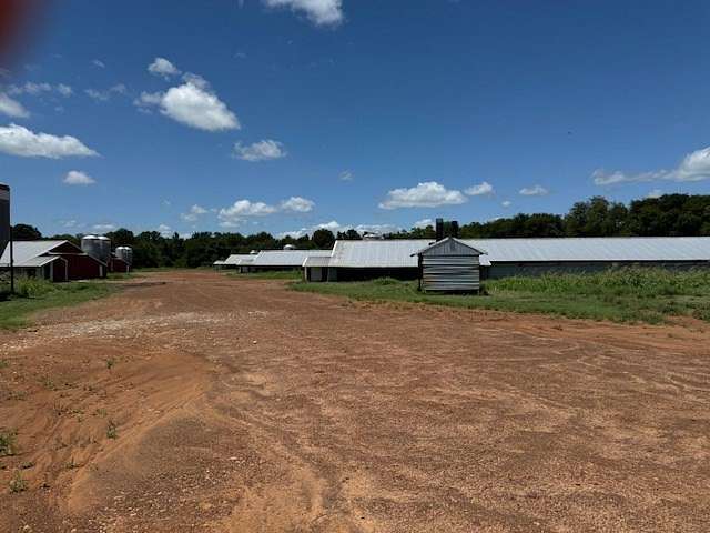 41.7 Acres of Recreational Land & Farm for Sale in Daingerfield, Texas