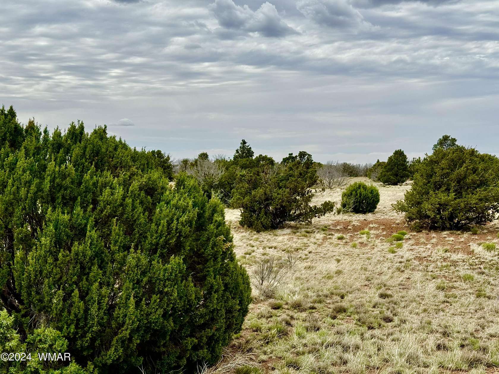 2.34 Acres of Residential Land for Sale in Concho, Arizona