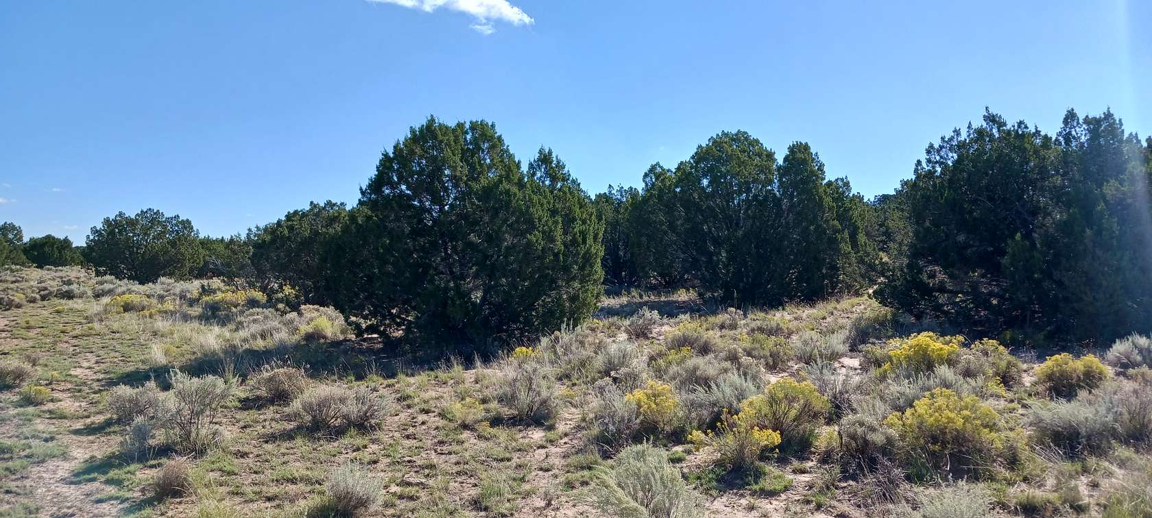 1.05 Acres of Residential Land for Sale in Sanders, Arizona