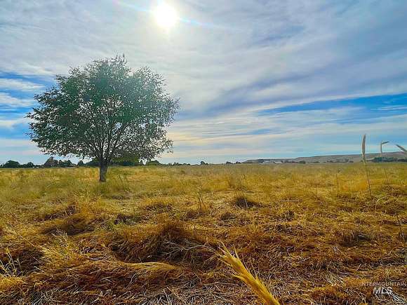 79 Acres of Agricultural Land for Sale in Emmett, Idaho