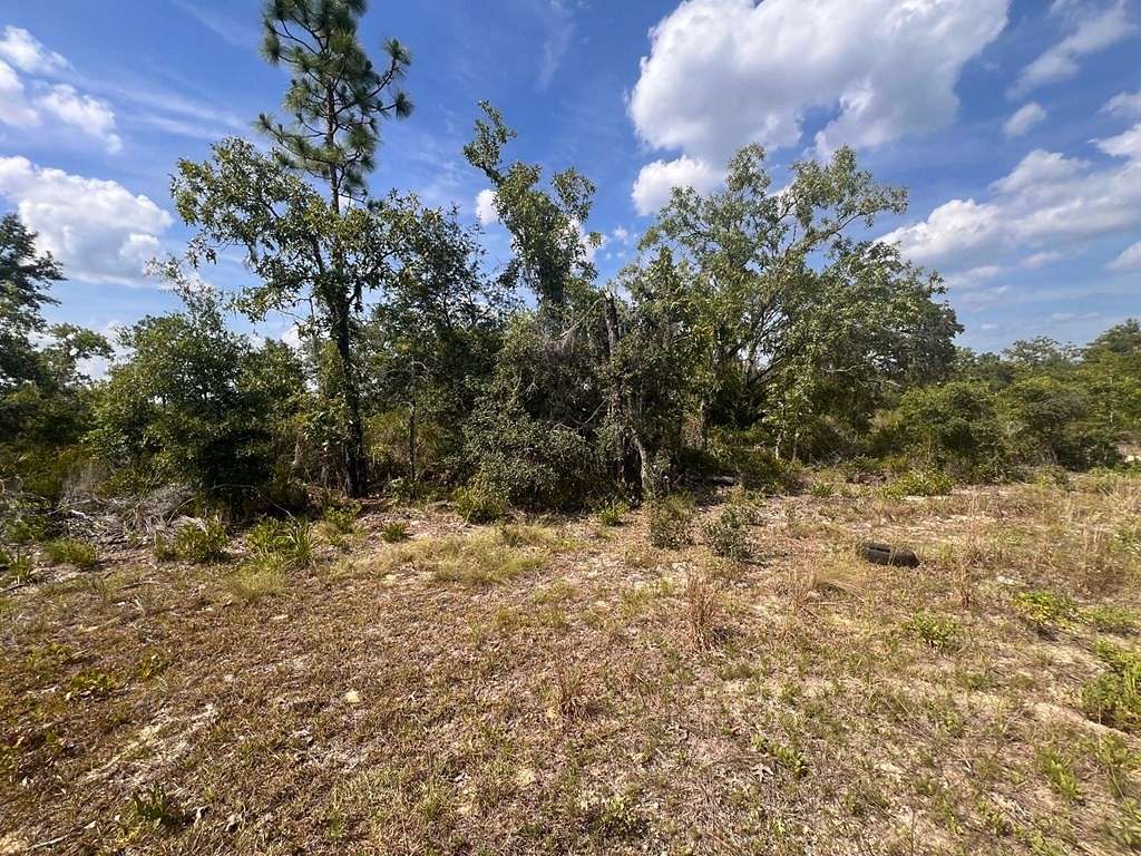 0.5 Acres of Residential Land for Sale in Williston, Florida