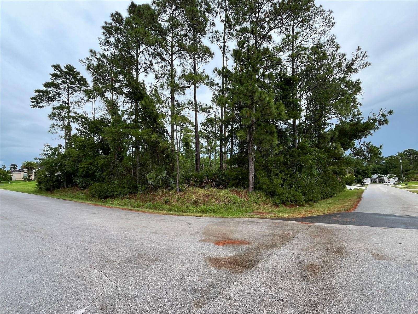 0.29 Acres of Residential Land for Sale in Palm Coast, Florida