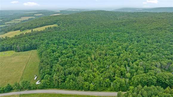 10.02 Acres of Land for Sale in Barker Town, New York