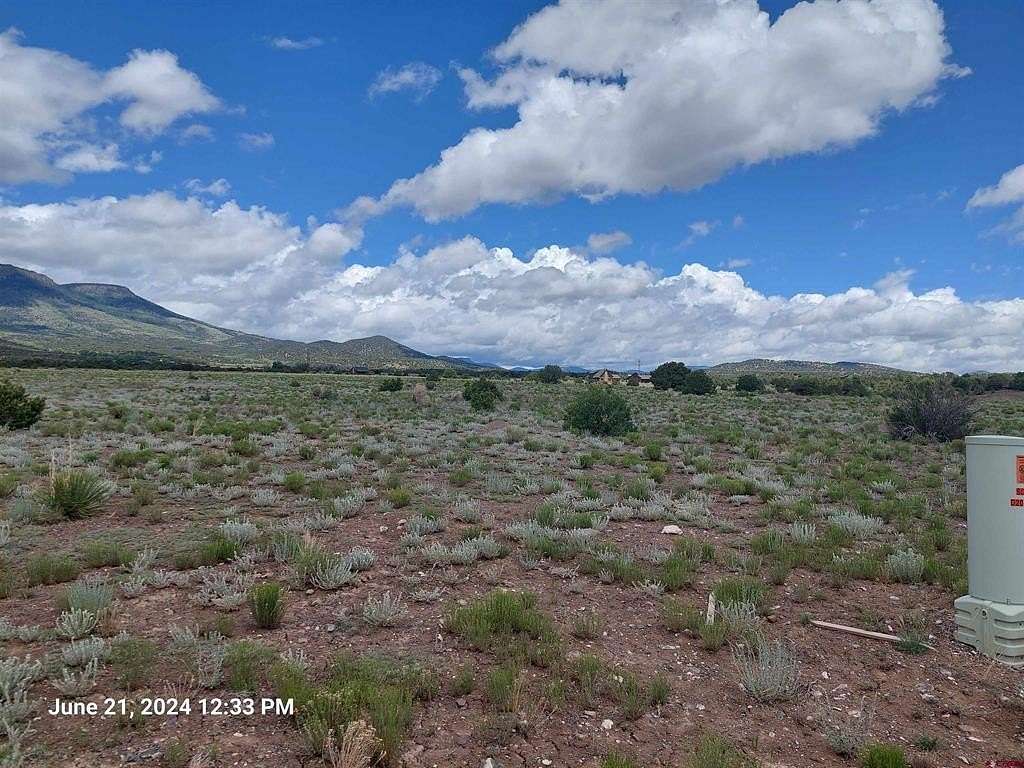 9.62 Acres of Residential Land for Sale in South Fork, Colorado