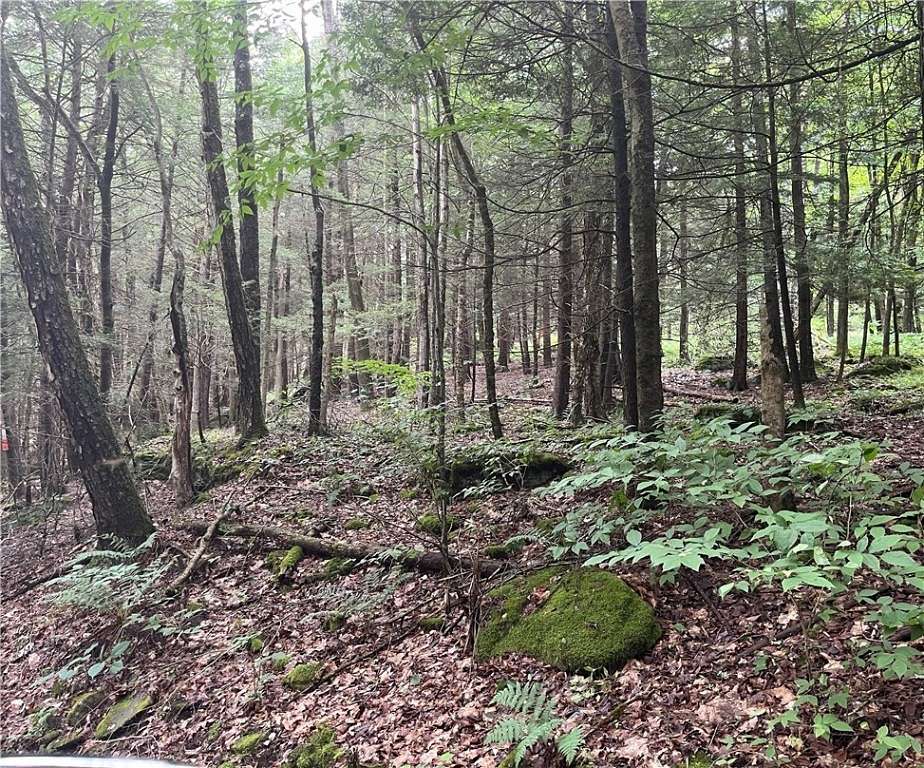 6 Acres of Improved Residential Land for Sale in Andes, New York