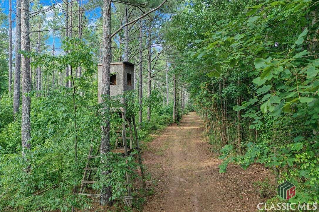 25 Acres of Land for Sale in Winterville, Georgia