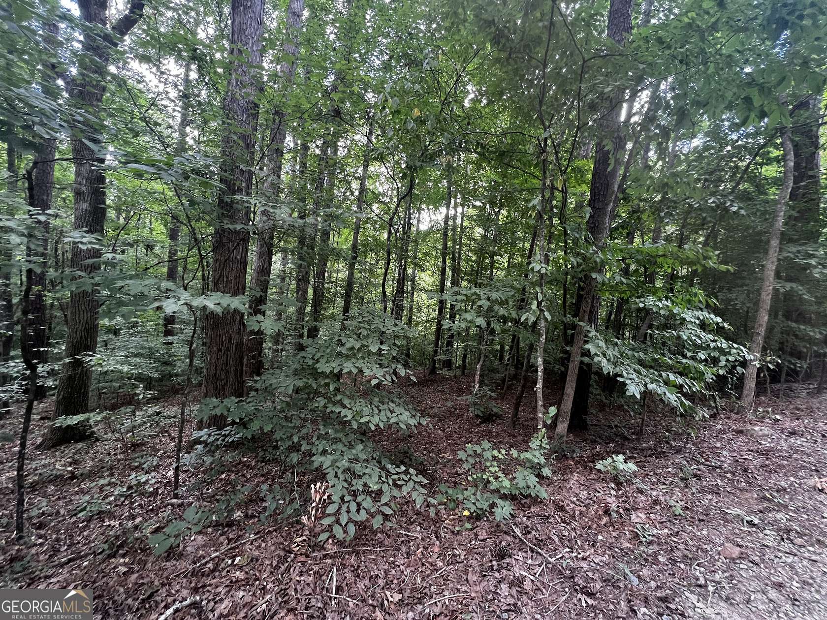 0.74 Acres of Residential Land for Sale in Monticello, Georgia