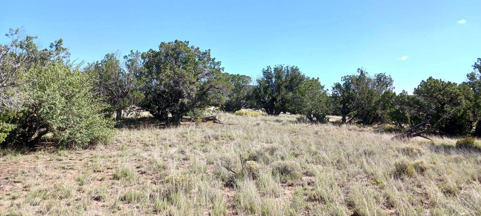 1.04 Acres of Recreational Land for Sale in Sanders, Arizona