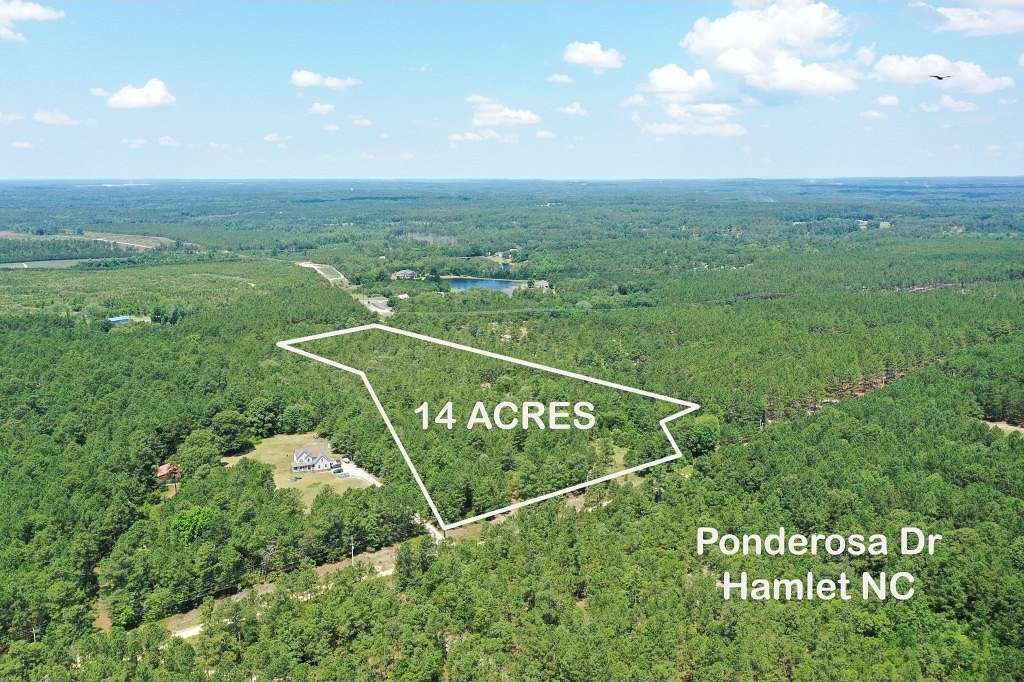 14.04 Acres of Land for Sale in Hamlet, North Carolina