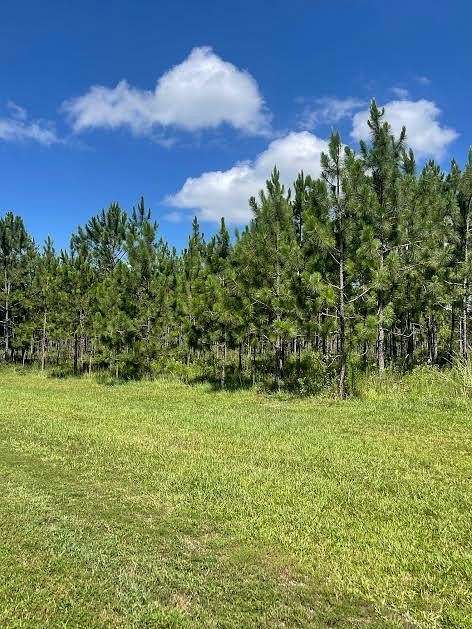 7.96 Acres of Residential Land for Sale in Poplarville, Mississippi