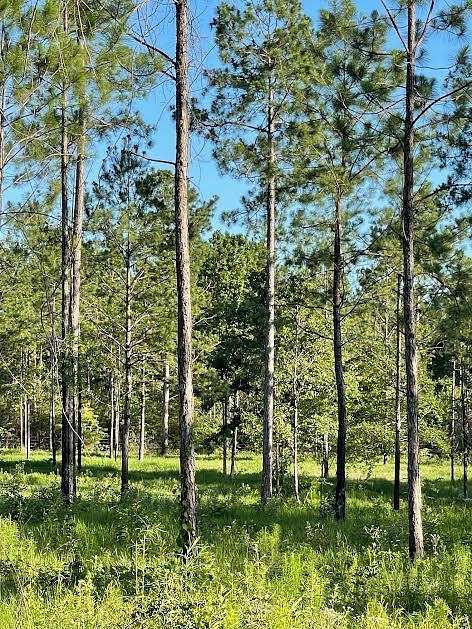6.04 Acres of Residential Land for Sale in Poplarville, Mississippi