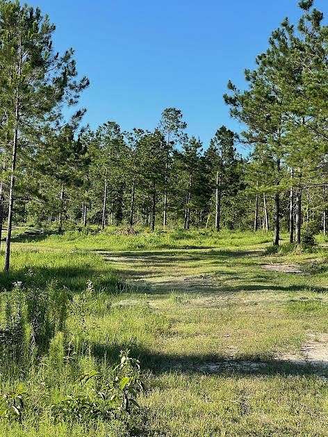 4.51 Acres of Residential Land for Sale in Poplarville, Mississippi