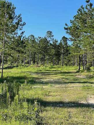 4.51 Acres of Residential Land for Sale in Poplarville, Mississippi