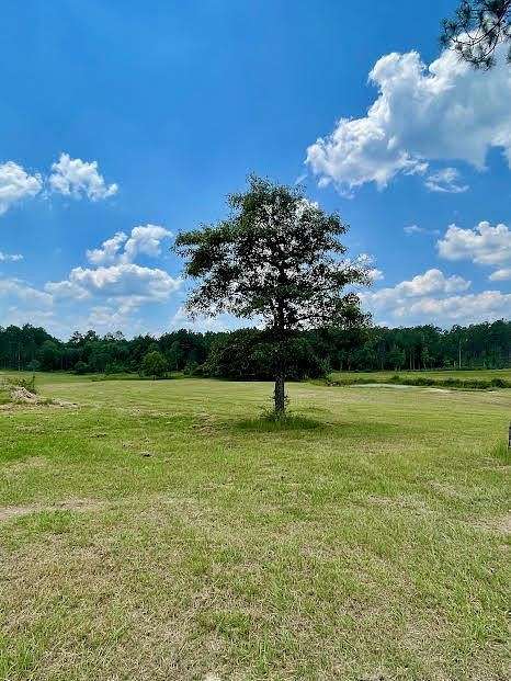 7.9 Acres of Residential Land for Sale in Poplarville, Mississippi